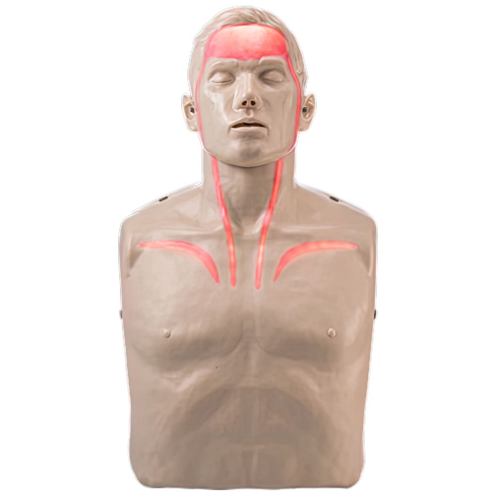 BRAYDEN Pulse CPR Manikin (With Lights)-CPR Manikens-AERO-Assurance Training and Sales