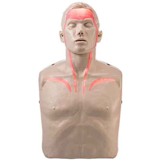 BRAYDEN Pulse CPR Manikin (With Lights)-AERO-Assurance Training and Sales